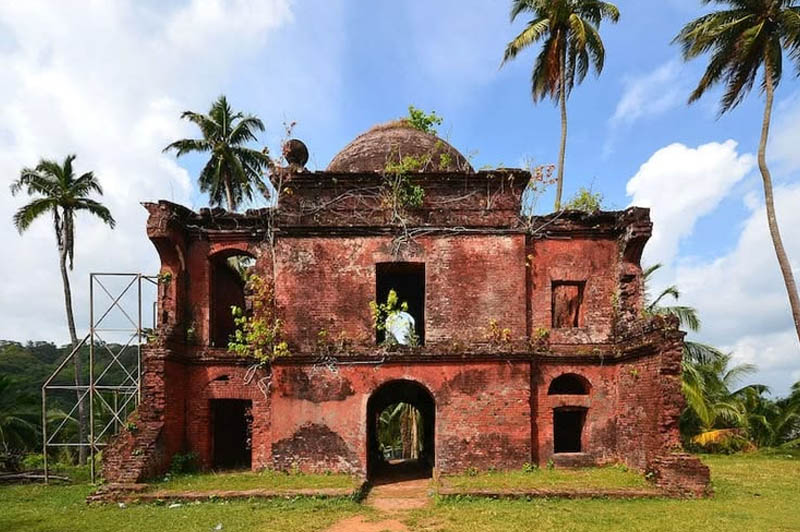 Viper Island